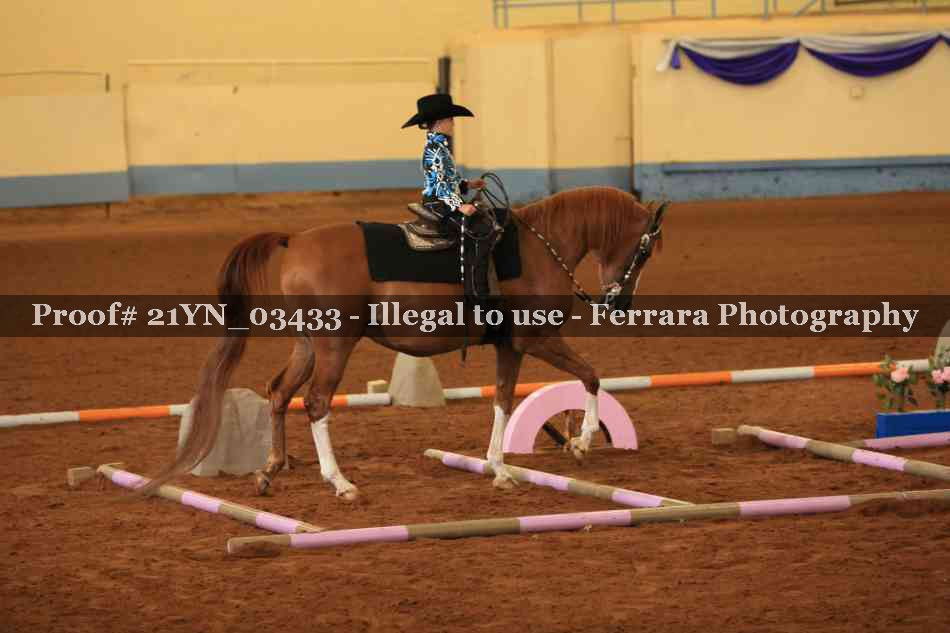 Proof 21YN_03433
