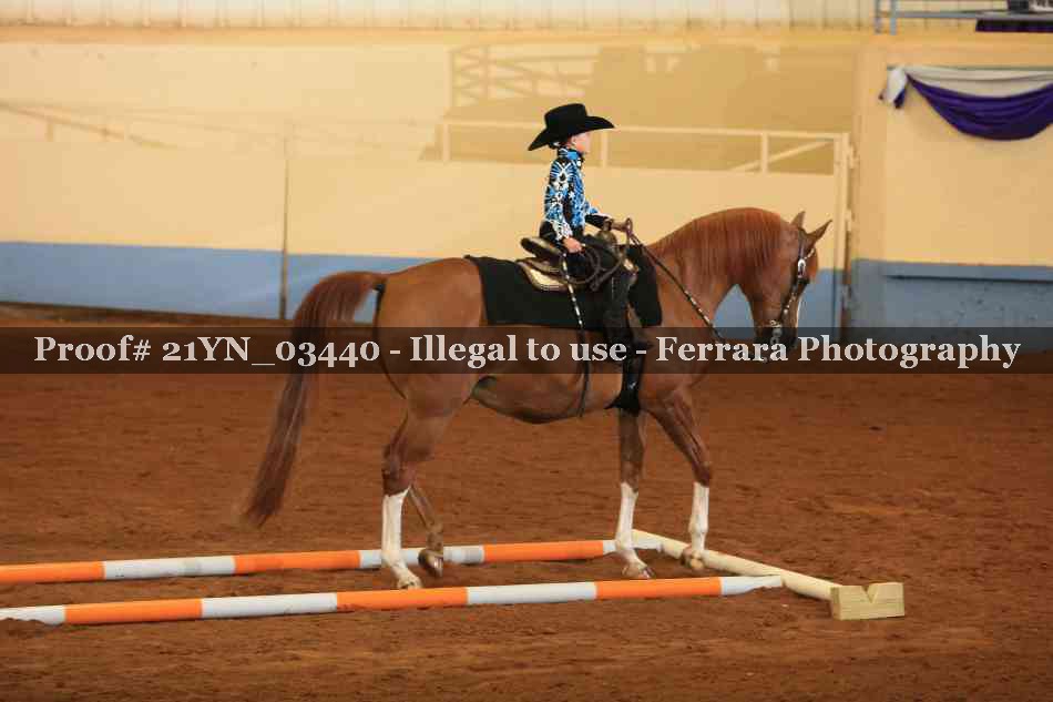Proof 21YN_03440
