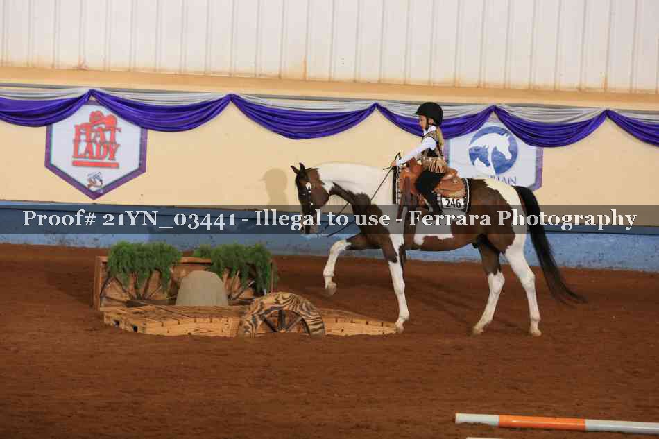 Proof 21YN_03441