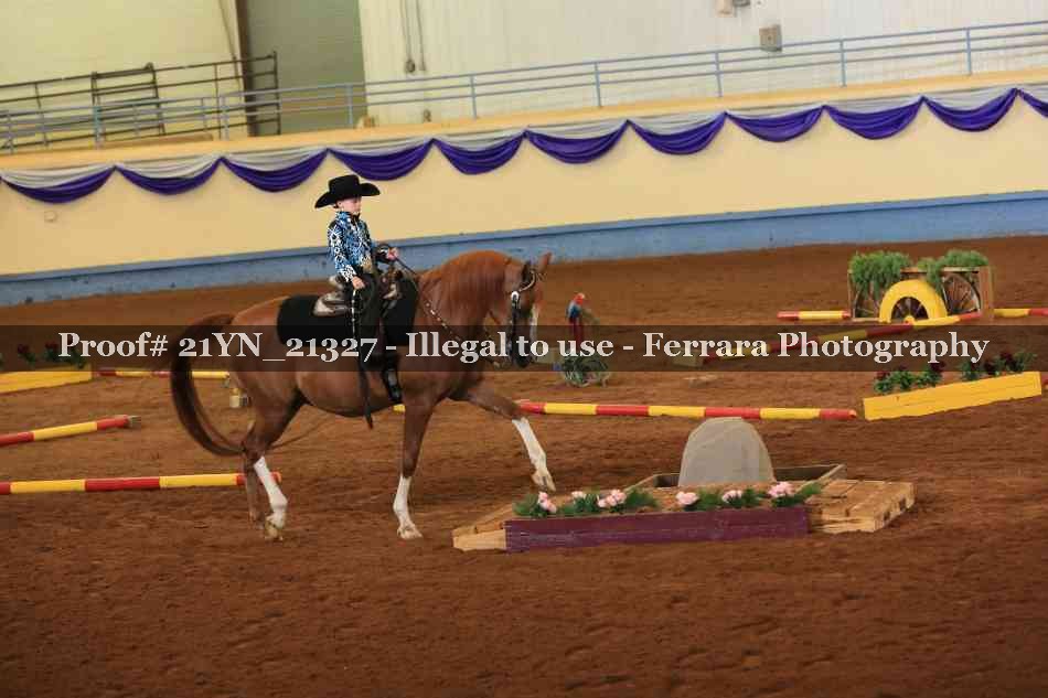 Proof 21YN_21327
