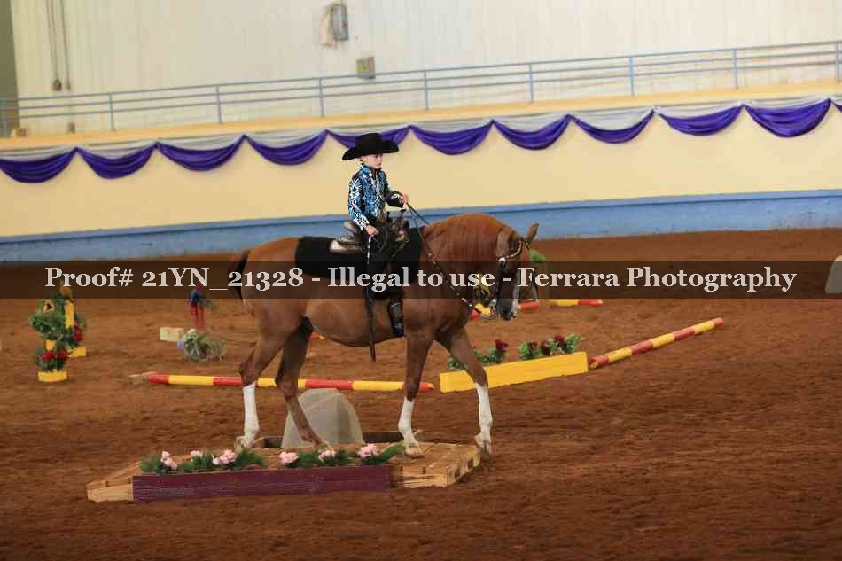Proof 21YN_21328