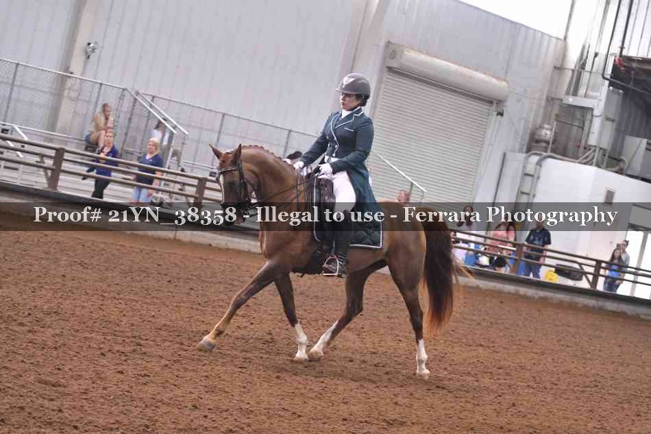 Proof 21YN_38358