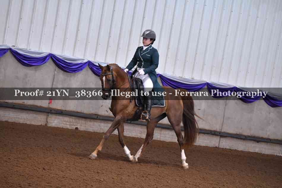 Proof 21YN_38366