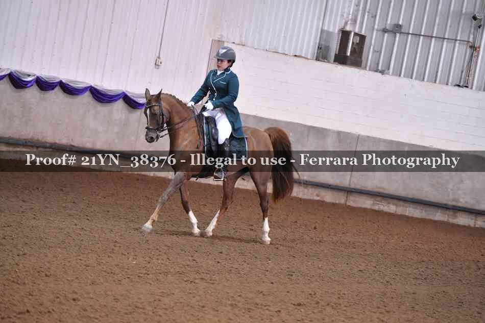 Proof 21YN_38376