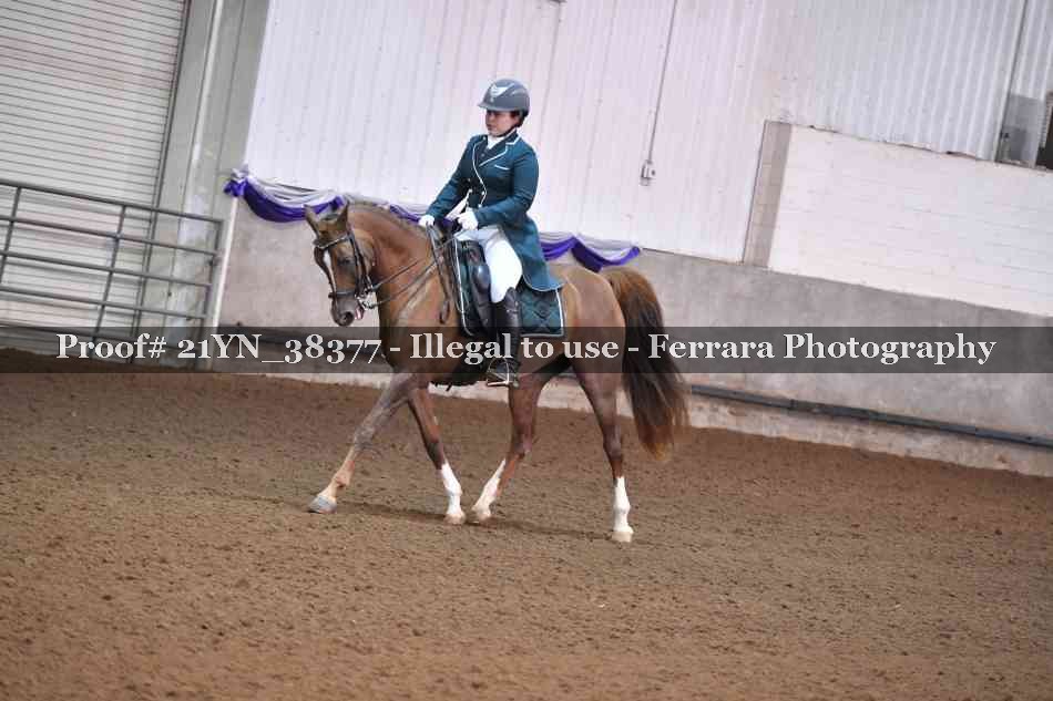 Proof 21YN_38377