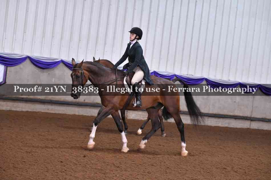Proof 21YN_38383