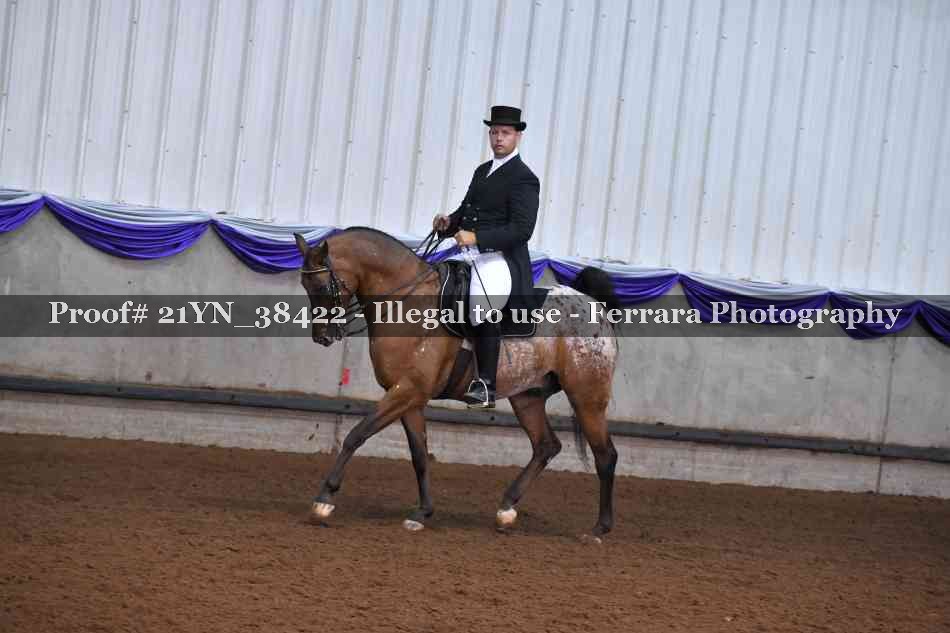 Proof 21YN_38422