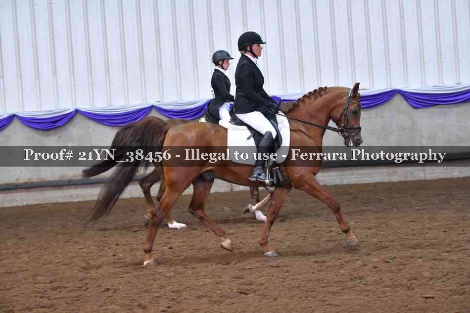 Proof 21YN_38456