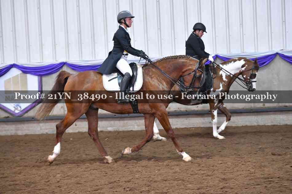 Proof 21YN_38490