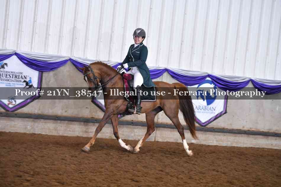 Proof 21YN_38547
