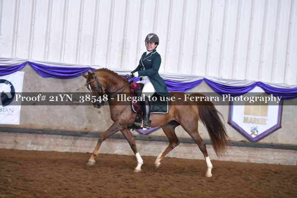 Proof 21YN_38548