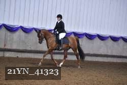 21YN_41323 proof