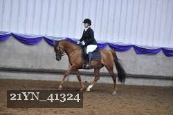 21YN_41324 proof