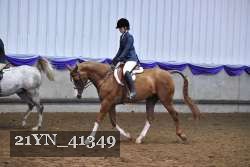 21YN_41349 proof