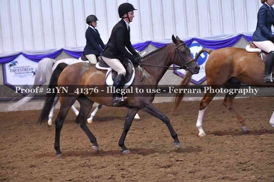 Proof 21YN_41376