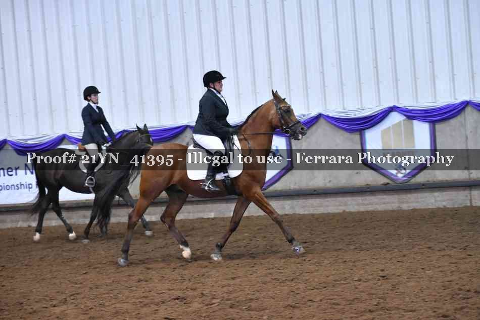 Proof 21YN_41395