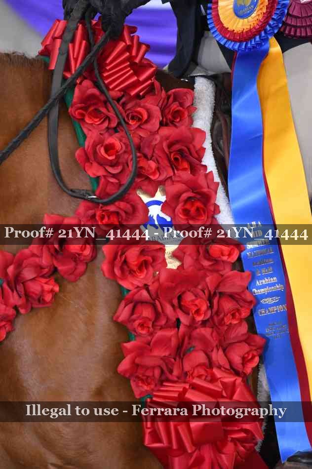 Proof 21YN_41444