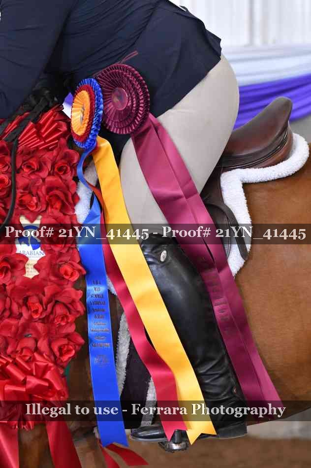 Proof 21YN_41445