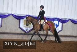 21YN_41461 proof