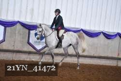 21YN_41472 proof