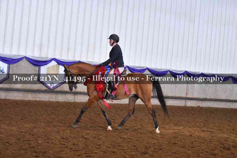 Proof 21YN_41495