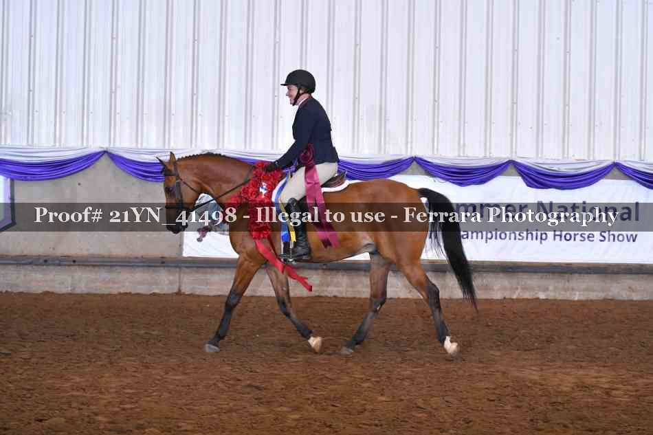 Proof 21YN_41498