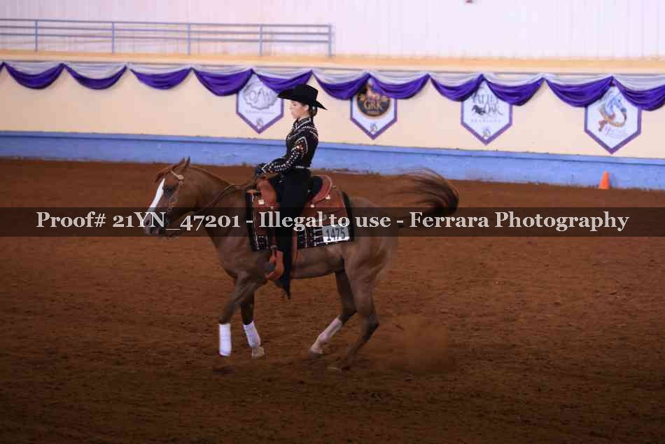 Proof 21YN_47201
