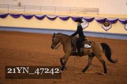 21YN_47242 proof