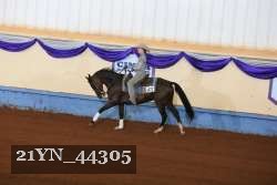 21YN_44305 proof