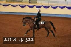 21YN_44322 proof