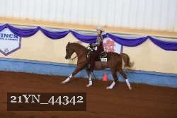 21YN_44342 proof