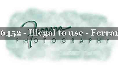 Proof 21YN_16452