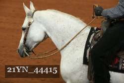 21YN_44415 proof
