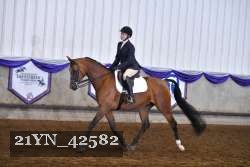 21YN_42582 proof