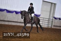 21YN_42589 proof