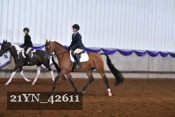 21YN_42611 proof