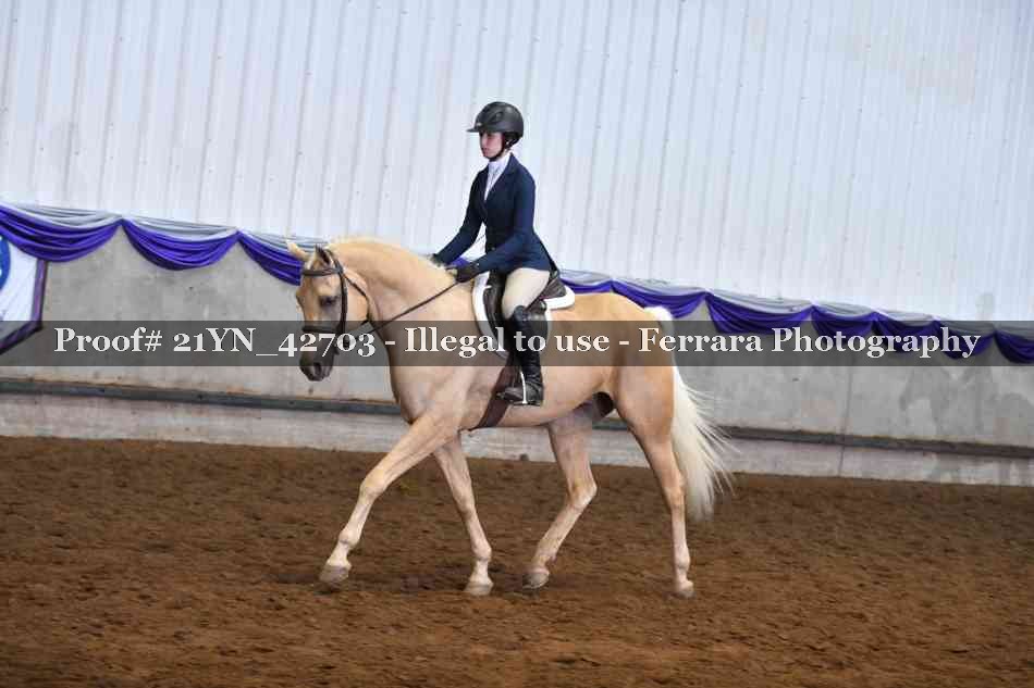 Proof 21YN_42703