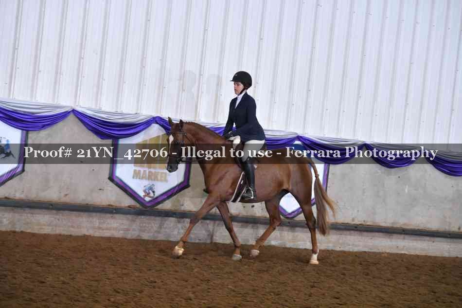 Proof 21YN_42706