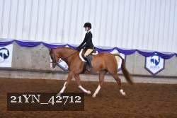 21YN_42712 proof