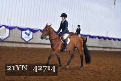 21YN_42714 proof