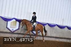 21YN_42715 proof