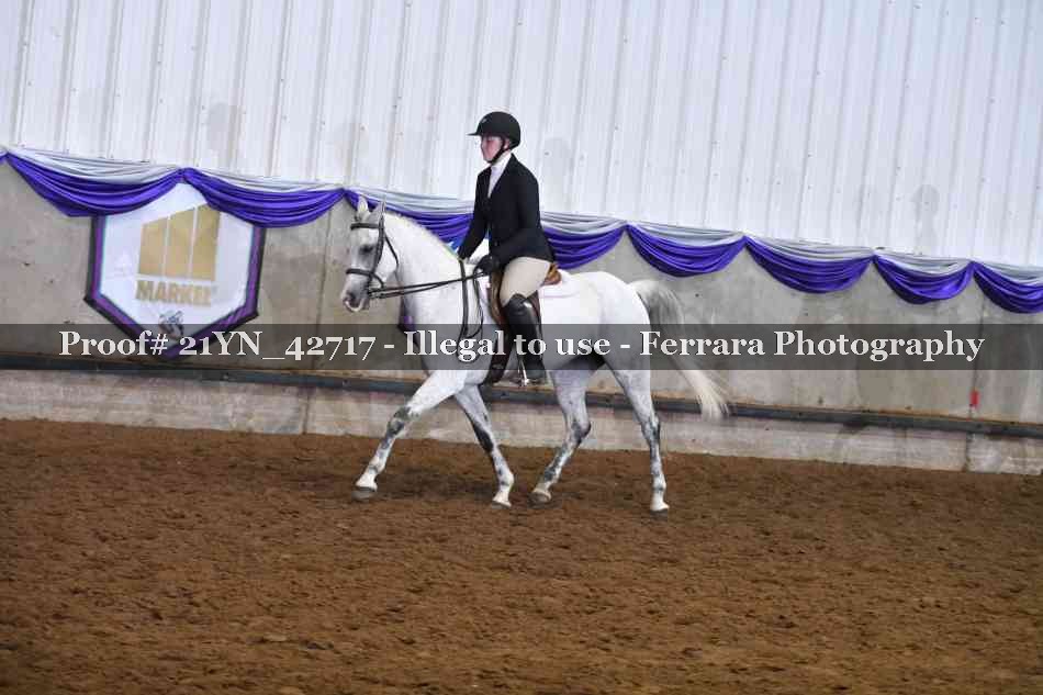 Proof 21YN_42717