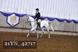 21YN_42717 proof