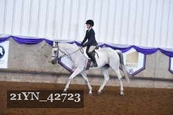 21YN_42723 proof