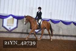 21YN_42739 proof