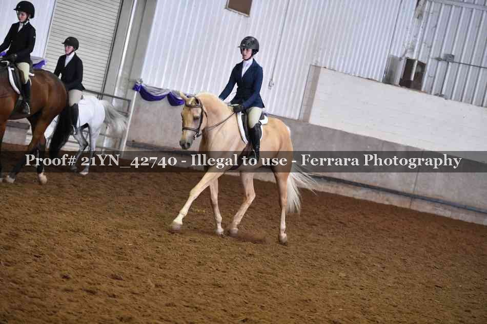 Proof 21YN_42740