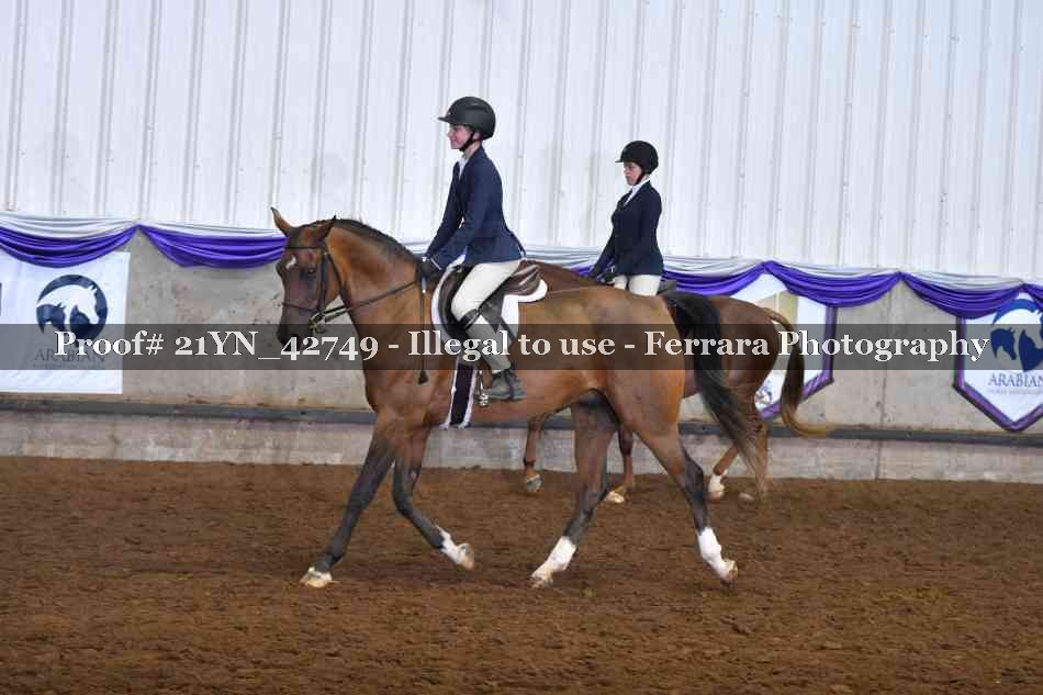 Proof 21YN_42749