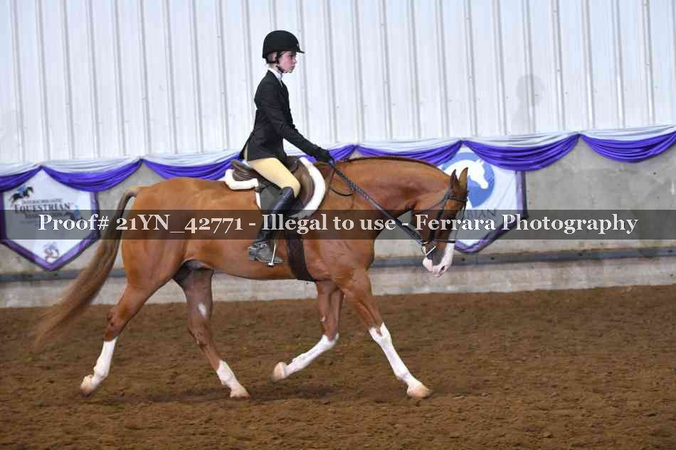 Proof 21YN_42771