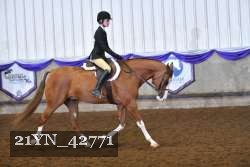 21YN_42771 proof