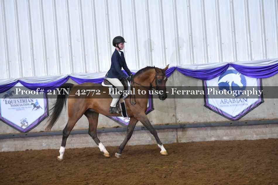 Proof 21YN_42772